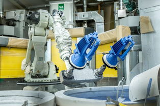 專(zhuān)訪法國(guó)賽峰公司高層 貴陽(yáng)工廠硅鐵粒產(chǎn)品質(zhì)量卓越，引領(lǐng)行業(yè)標(biāo)準(zhǔn)